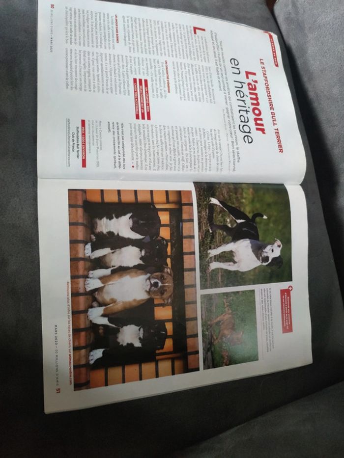 Magazine 30 millions d'amis numéro 382 mars 2020 - photo numéro 10