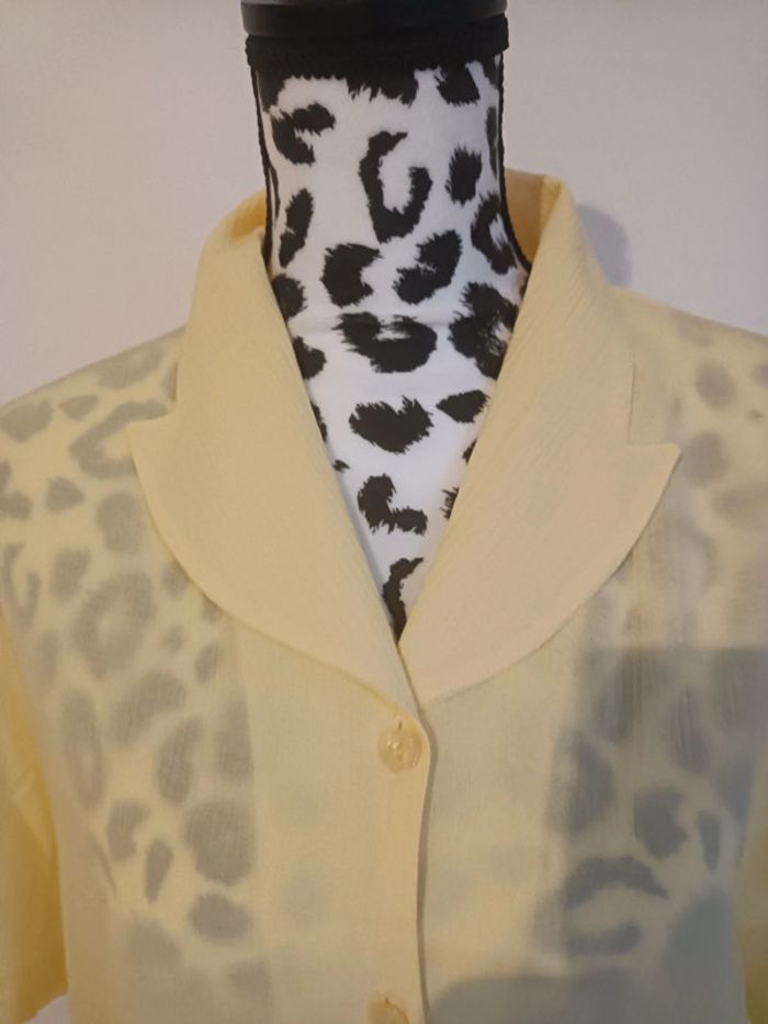 Chemisier - photo numéro 3