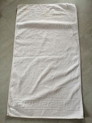 serviette blanche 83 x 47 cm De Witte Lietaer