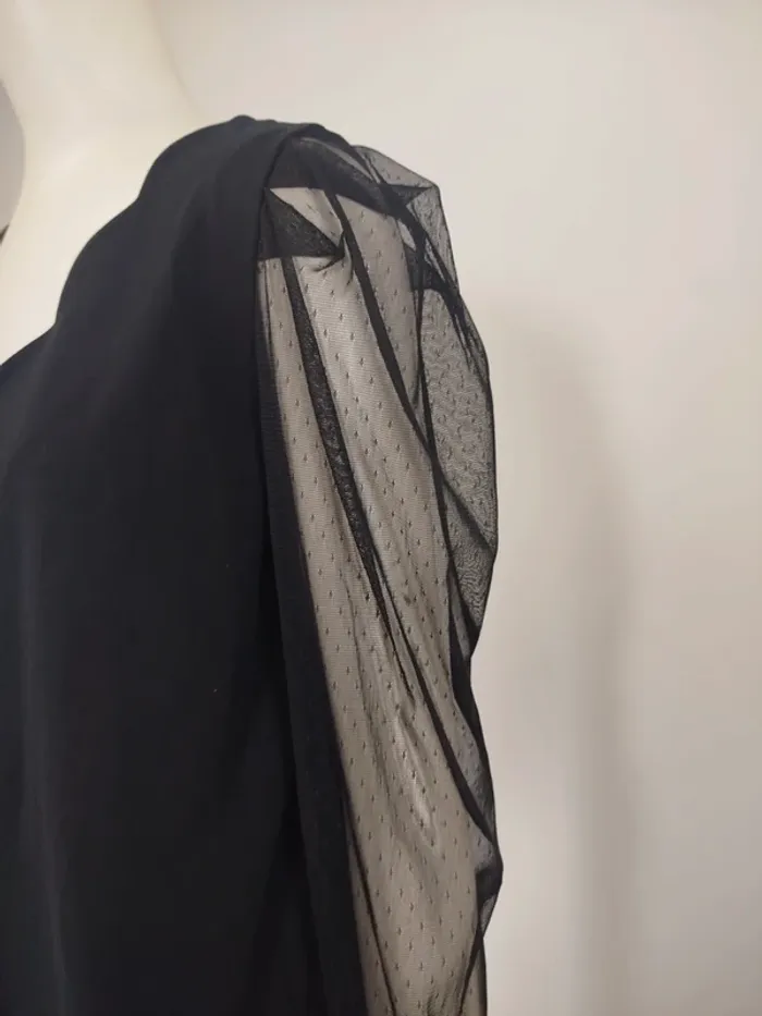 Col festonné décolleté Manches longues transparente (A999) - photo numéro 2