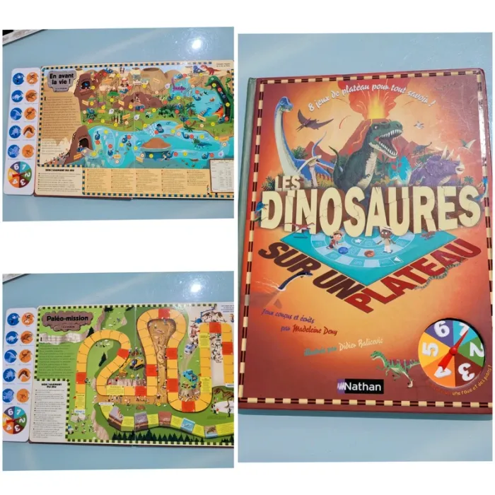 Livre Jeu 🦕 Les Dinosaures sur un plateau 🦖 (81)