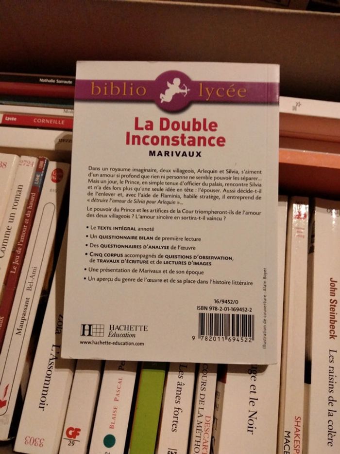 La double inconstance - photo numéro 2