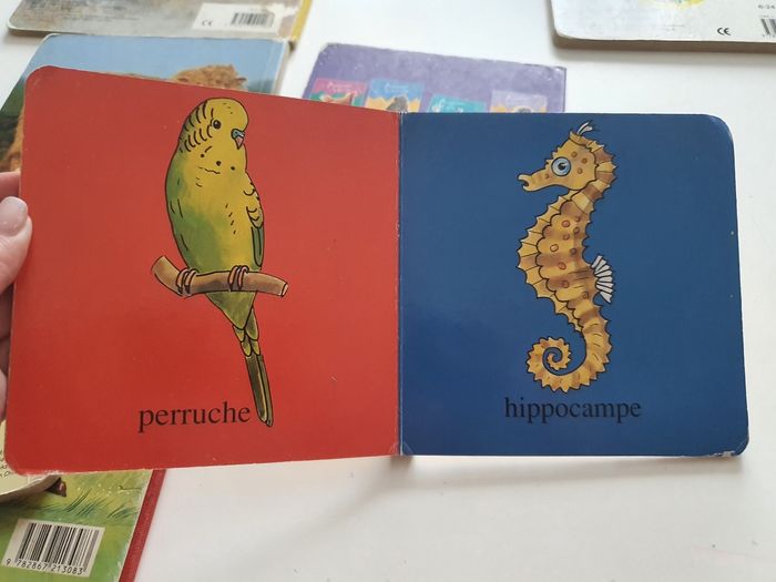 Lot de livres bébé sur le thème des animaux - photo numéro 4