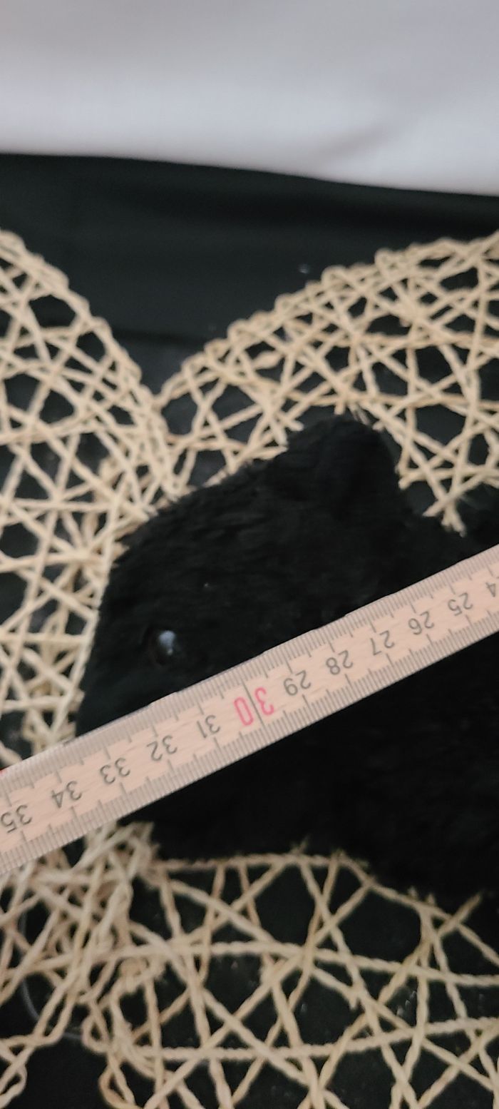 doudou panthère , chien noir dani - photo numéro 7