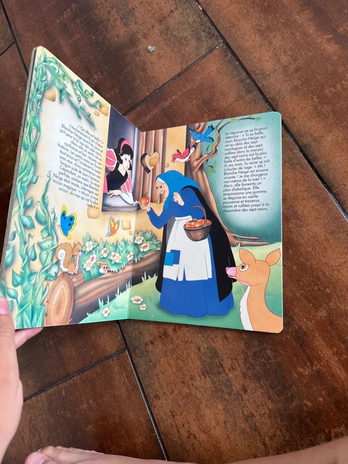 Livre blanche neige - photo numéro 6
