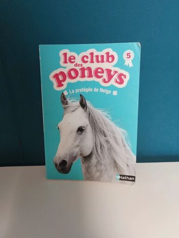 Le club des poneys : La protégée de Neige