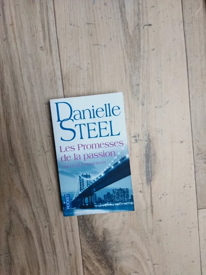 Danielle Steel Les promesses de la passion