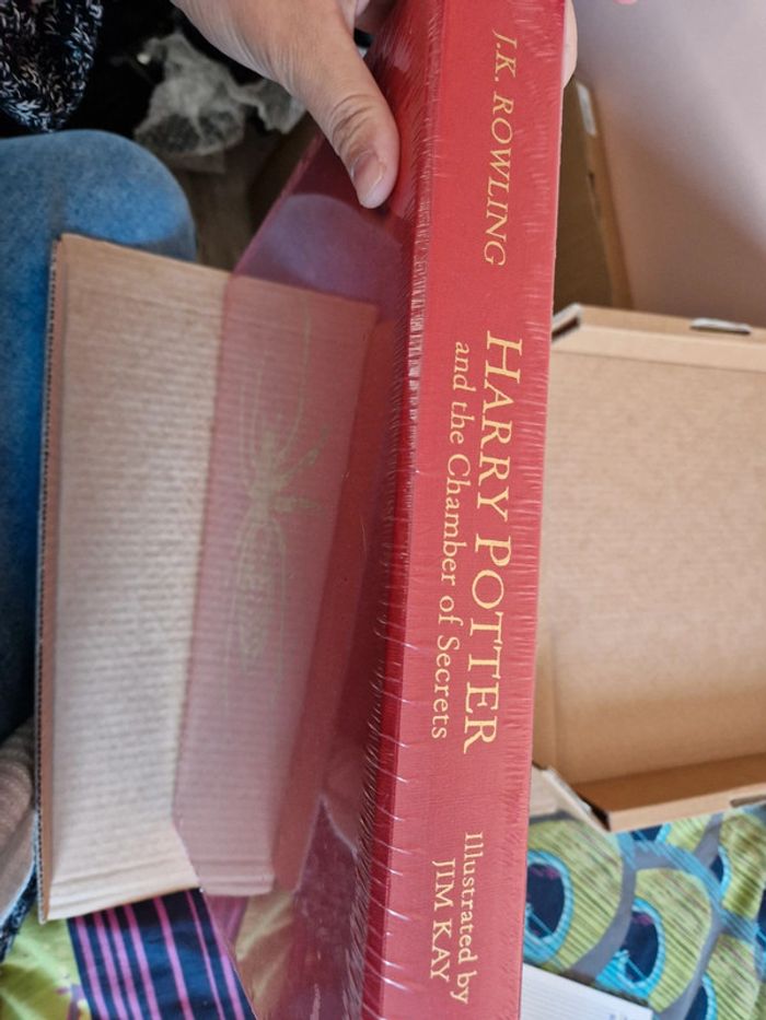 Livre harry potter Tome 2 édition deluxe illustrée anglais Jim kay - photo numéro 3