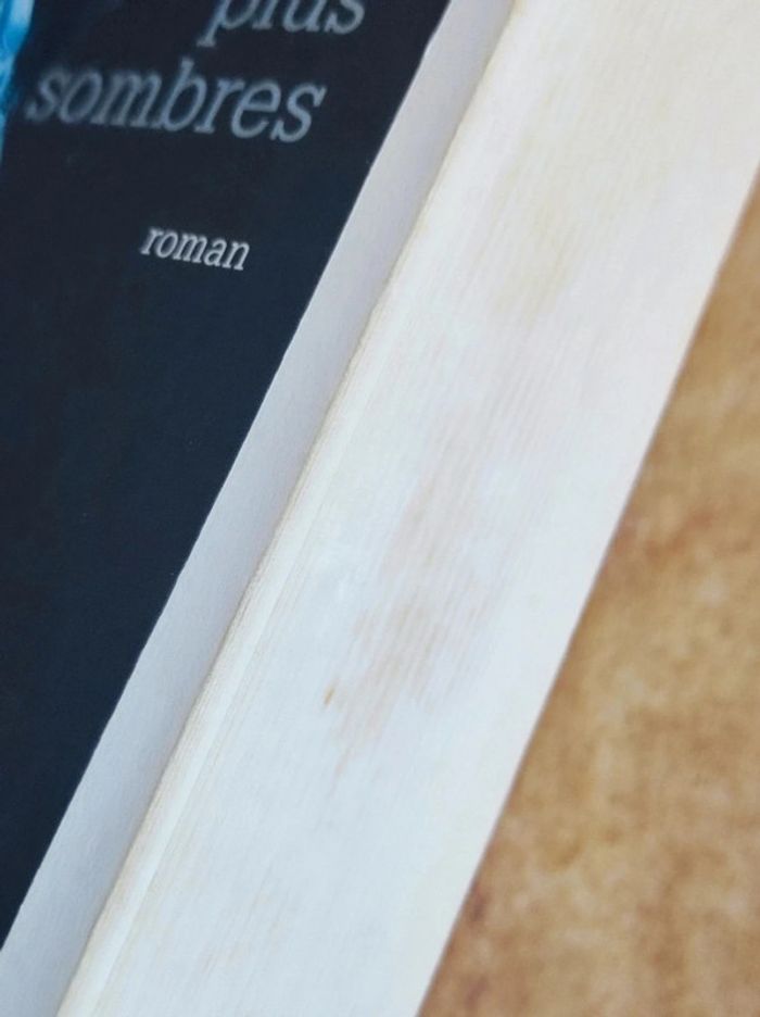 Livre Cinquante nuances plus sombres - photo numéro 4