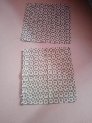 2 housses de coussins