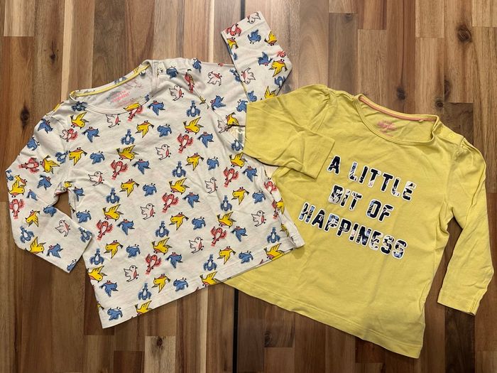 Lot 2 T-Shirts Manches Longues Lupilu 24 Mois