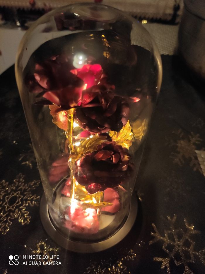 Rose lumineux - photo numéro 2