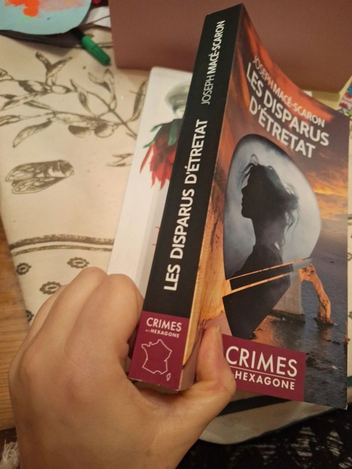 Les disparus d'étretat - photo numéro 2