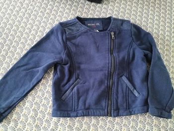 Veste bleu