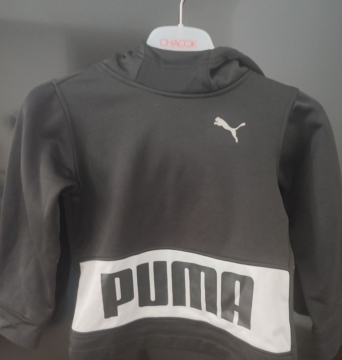 Pull Puma