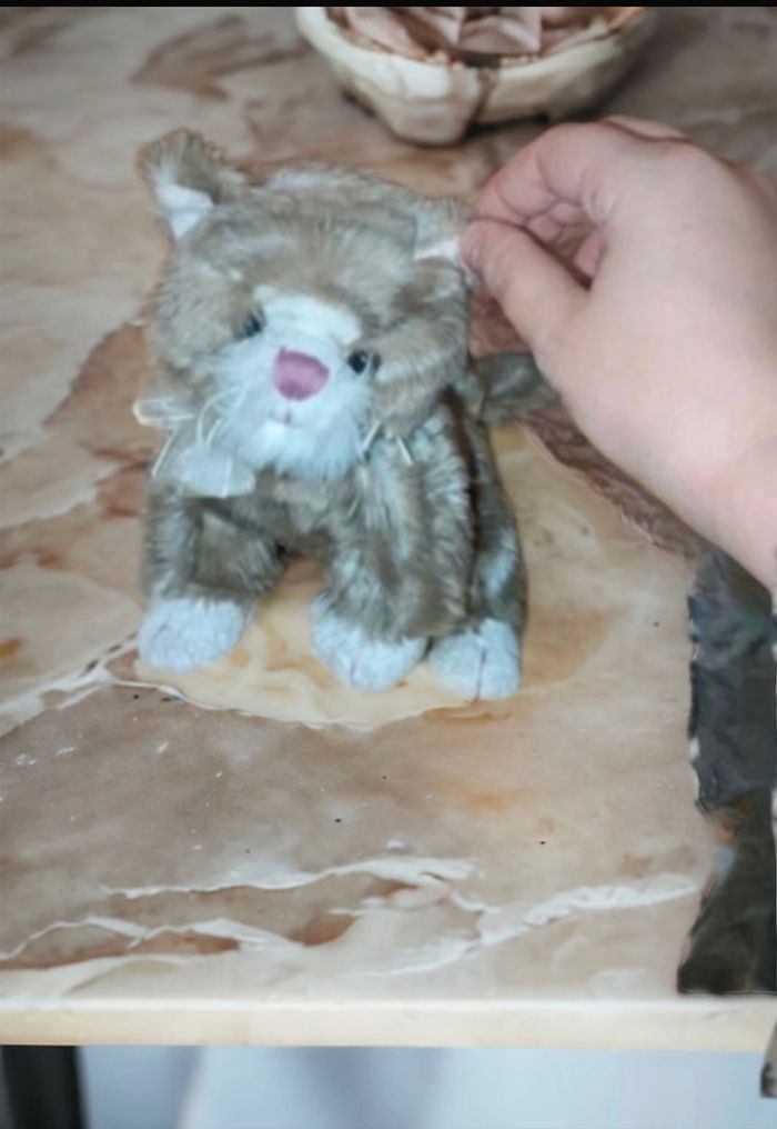 Peluche chatt🧸