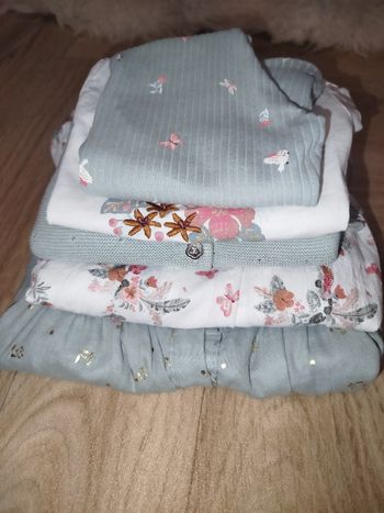 Collection SGMJ 18 mois