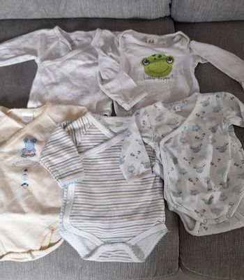 Lot 5 bodies