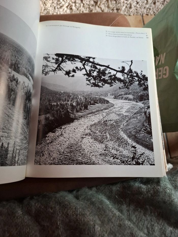 Le grand livre de la forêt. - photo numéro 14