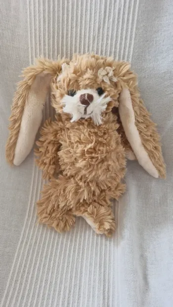 Lapin bukowski