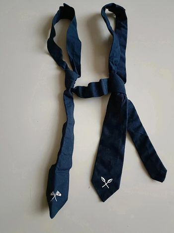 Lot de 2 cravates bleue marine avec scratch