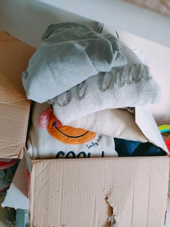 Lot vêtements usés pour animaux