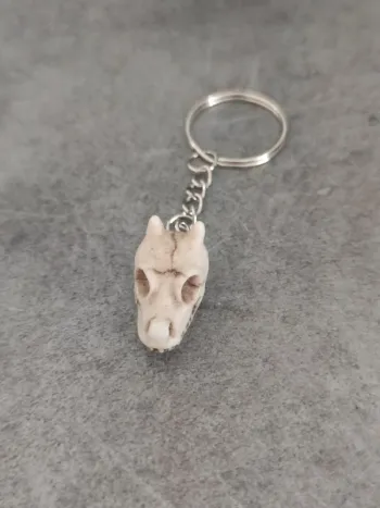 Porte clé crâne de dragon