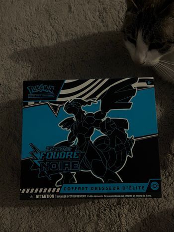 etb foudre noir