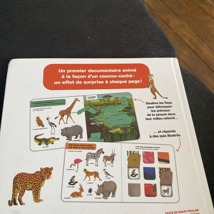 Les animaux de la savane africaine - photo numéro 2