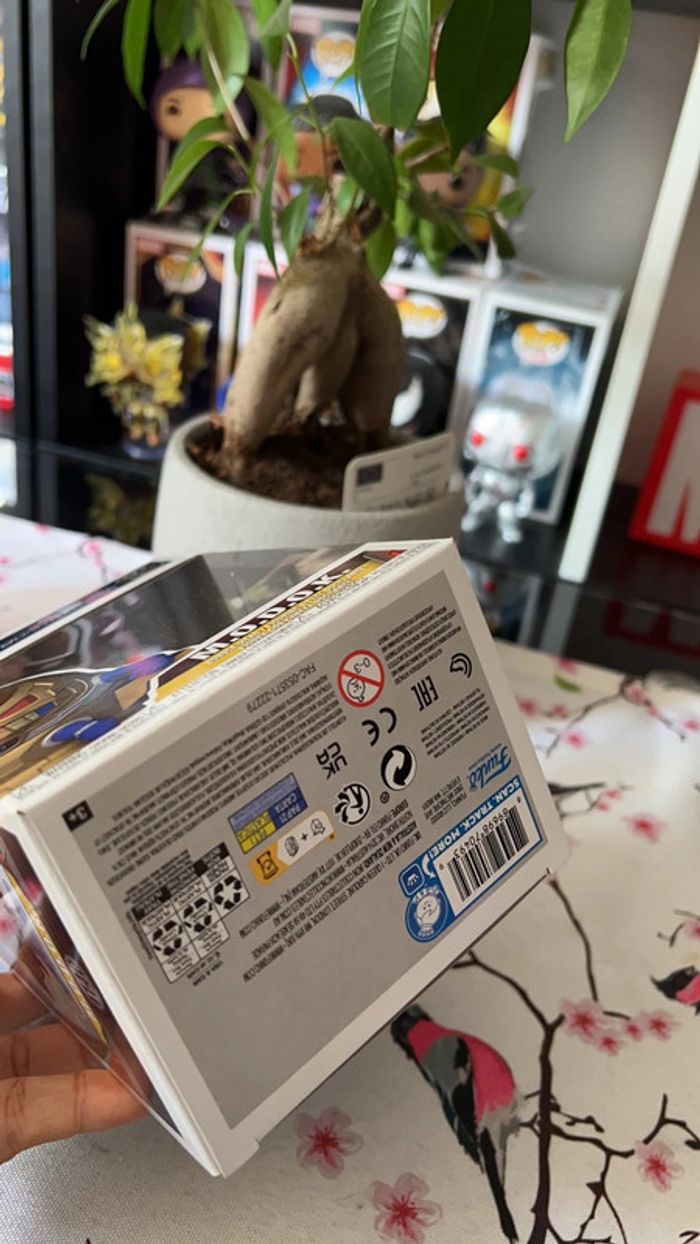 Pop modok - photo numéro 6