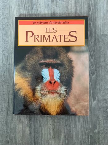 Les’primates
