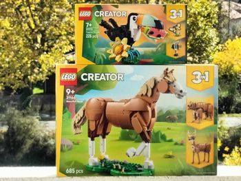 Lego creator le toucan tropical et le beau cheval