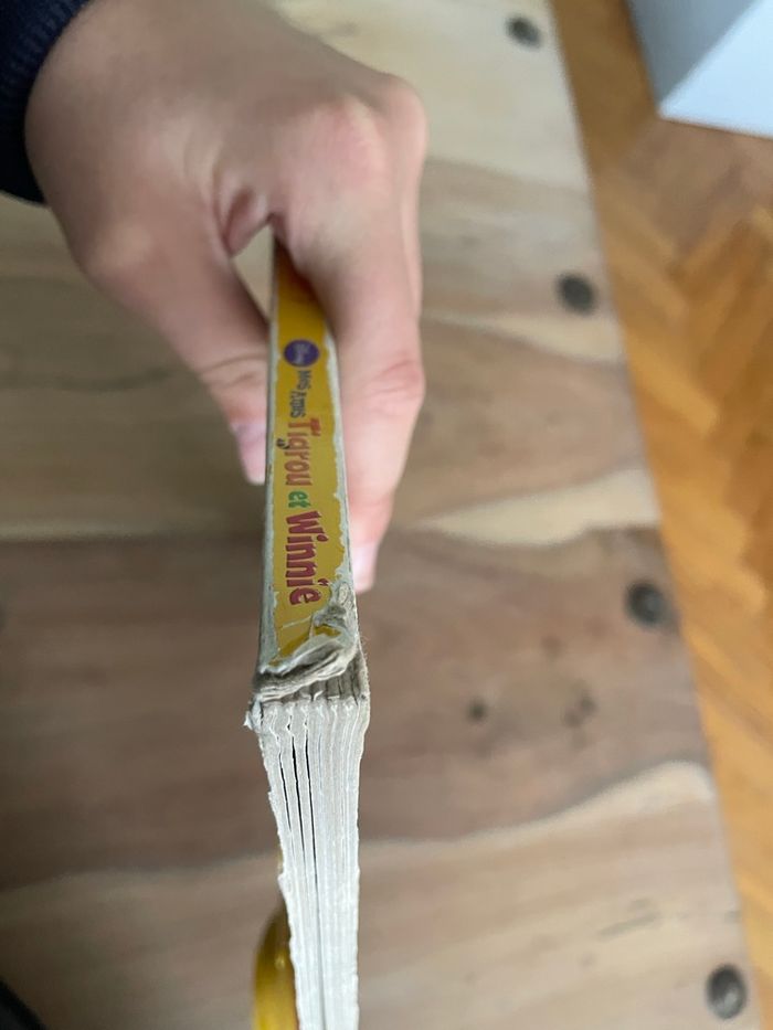 Livre jeunesse - photo numéro 6