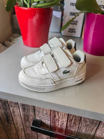 Basket Lacoste