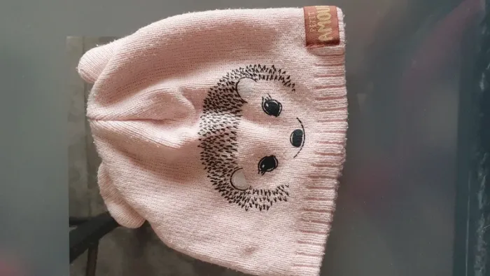 Bonnet