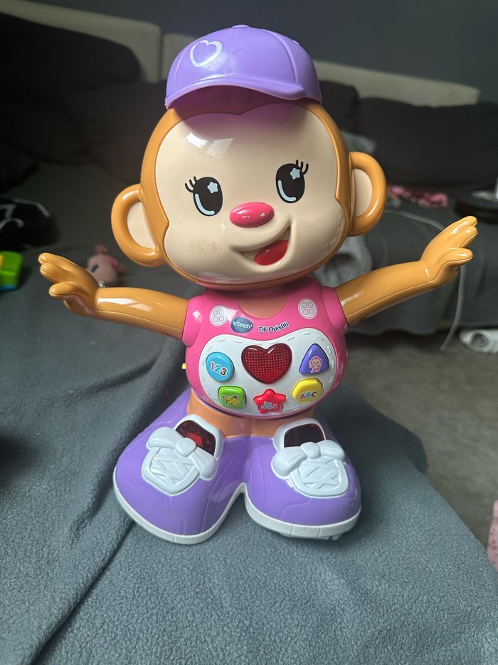 Singe titi ouistitis