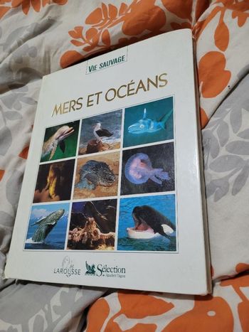 Mers et oceans