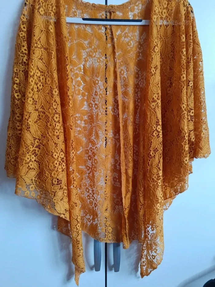 Boléro moutarde en broderie - photo numéro 2