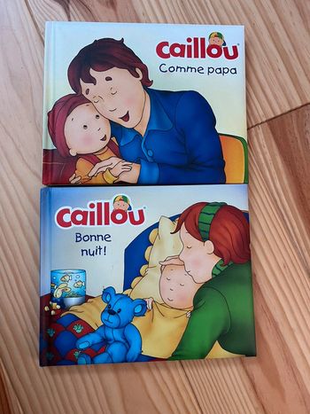 Lot livre caillou
