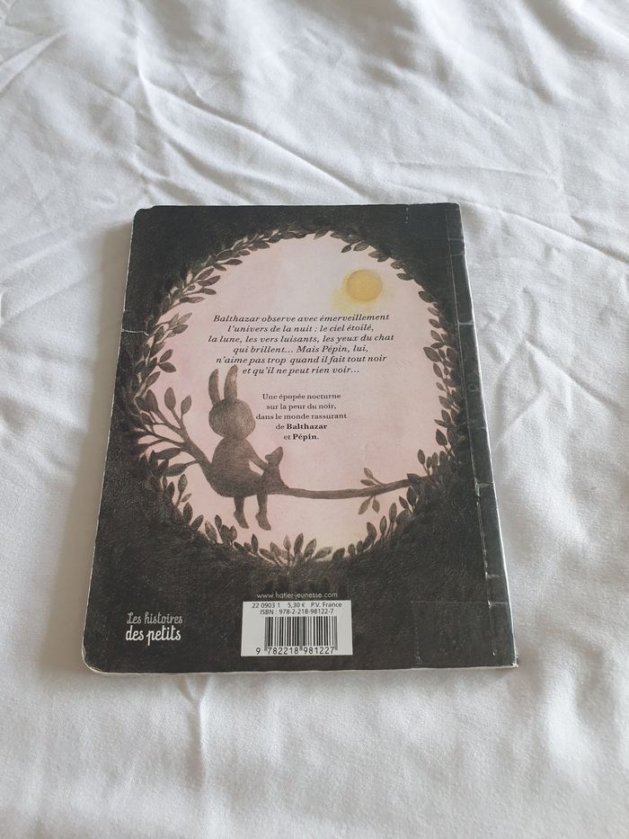 Memory Balthazar et livre de la peur - photo numéro 2