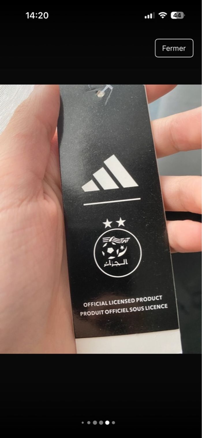 Maillot Concept Algérie - El Mechouar 2024 - photo numéro 6