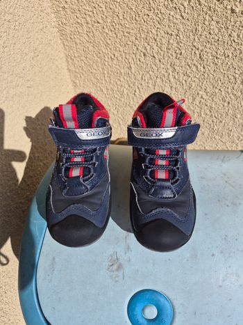 Basket geox