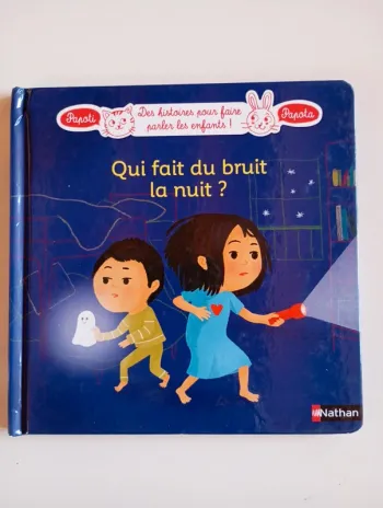 Qui fait du bruit la nuit ?