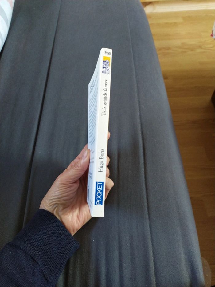 Trois grands fauves de Hugo Boris - photo numéro 3