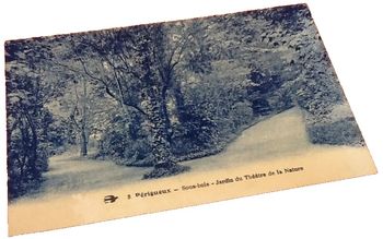 Carte postale ancienne  Périgueux (Dordogne)  Sous-bois  Jardin du Théâtre de la Nature