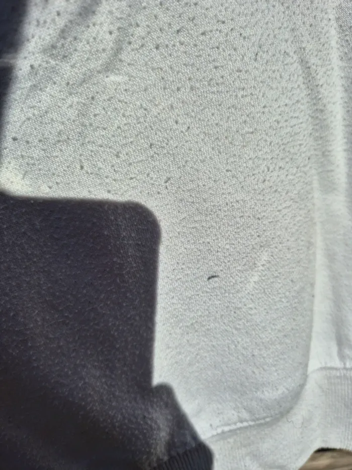 Sweat à capuche Liberto - photo numéro 4
