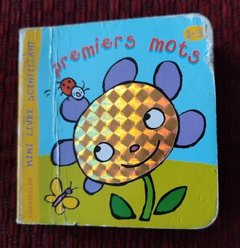 Mini livre bébé Mes premiers mots 1-3 ans