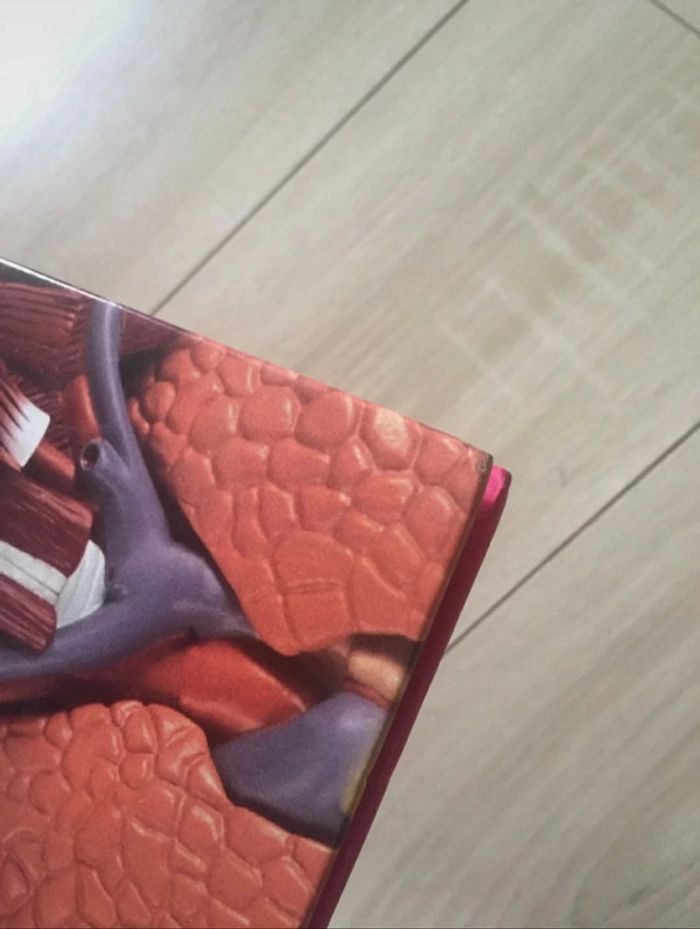 Livre 📖 Le corps humain Atlas des juniors 5€ - photo numéro 12