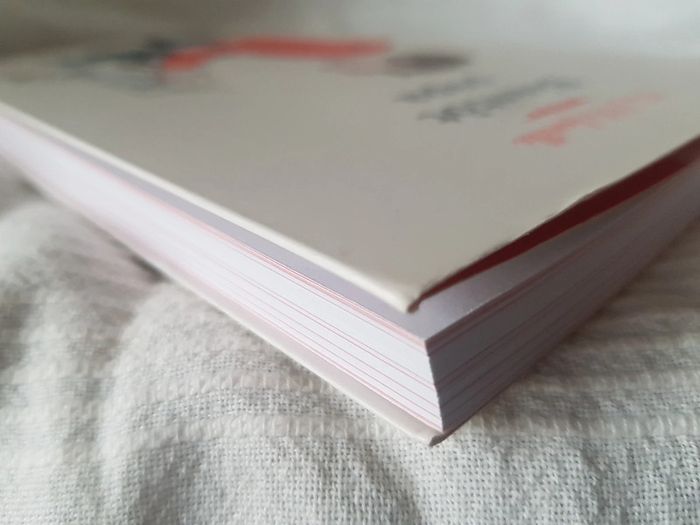 Bientôt papa de Lionel Pailles et Benoît le Goëdec - photo numéro 4