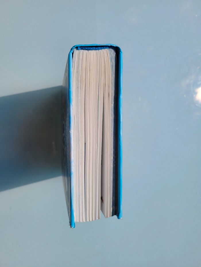 Livre Le Secret des Fées des océans 🧜 Téa Stilton (49) - photo numéro 16